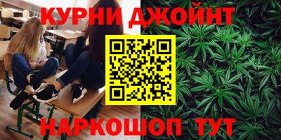 крисы Аша