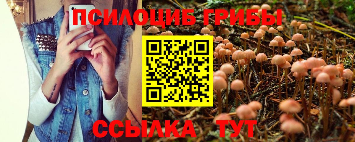 Галлюциногенные грибы Psilocybe  Псилоцибиновые грибы MAGIC MUSHROOMS  Ишимбай  Вход с VPN 